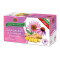 Bioprograma Čaj zázvor a echinacea 30g