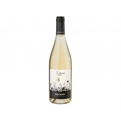 Symbiose White Bratanov